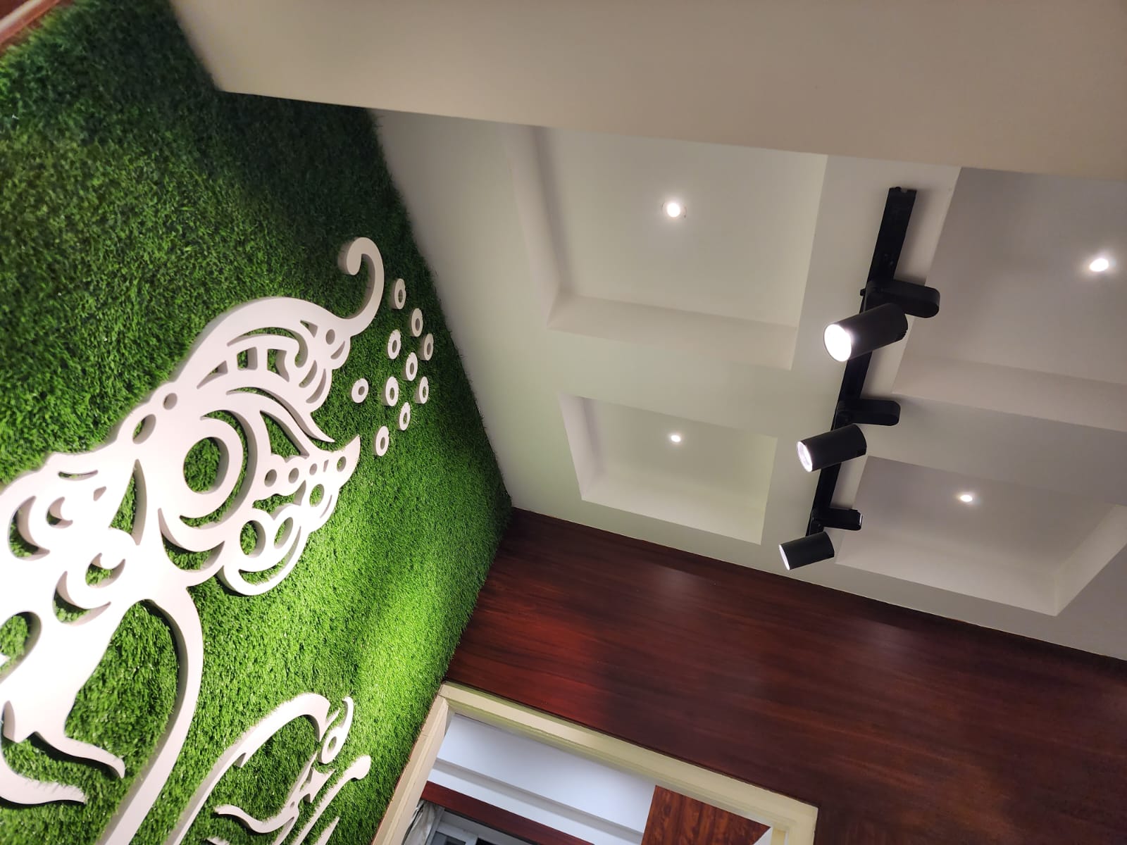 Coffered ceiling with track spotlights in Vizag